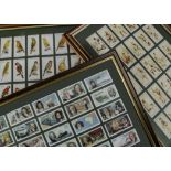 Cigarette and Trade Cards, Mixture, a collection of six framed and glazed (back and front) sets