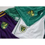 Norwich City FC, eight short sleeved shirts, two shorts plus two signed posters by Grant Holt,