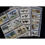 Cigarette Cards, Birds, Players sets to include Wild Fowl (L size), Poultry, Wild Birds, Birds &
