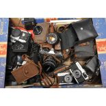 A Selection of Various Cameras, including Canon FTb, Olympus Trip 35 and more (a lot)