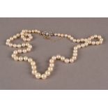 A nice Edwardian period cultured pearl necklace with diamond set clasp, the graduating white