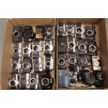 Cameras, a batch of mostly SLR bodies, Nikon, Contax and more (2 trays)