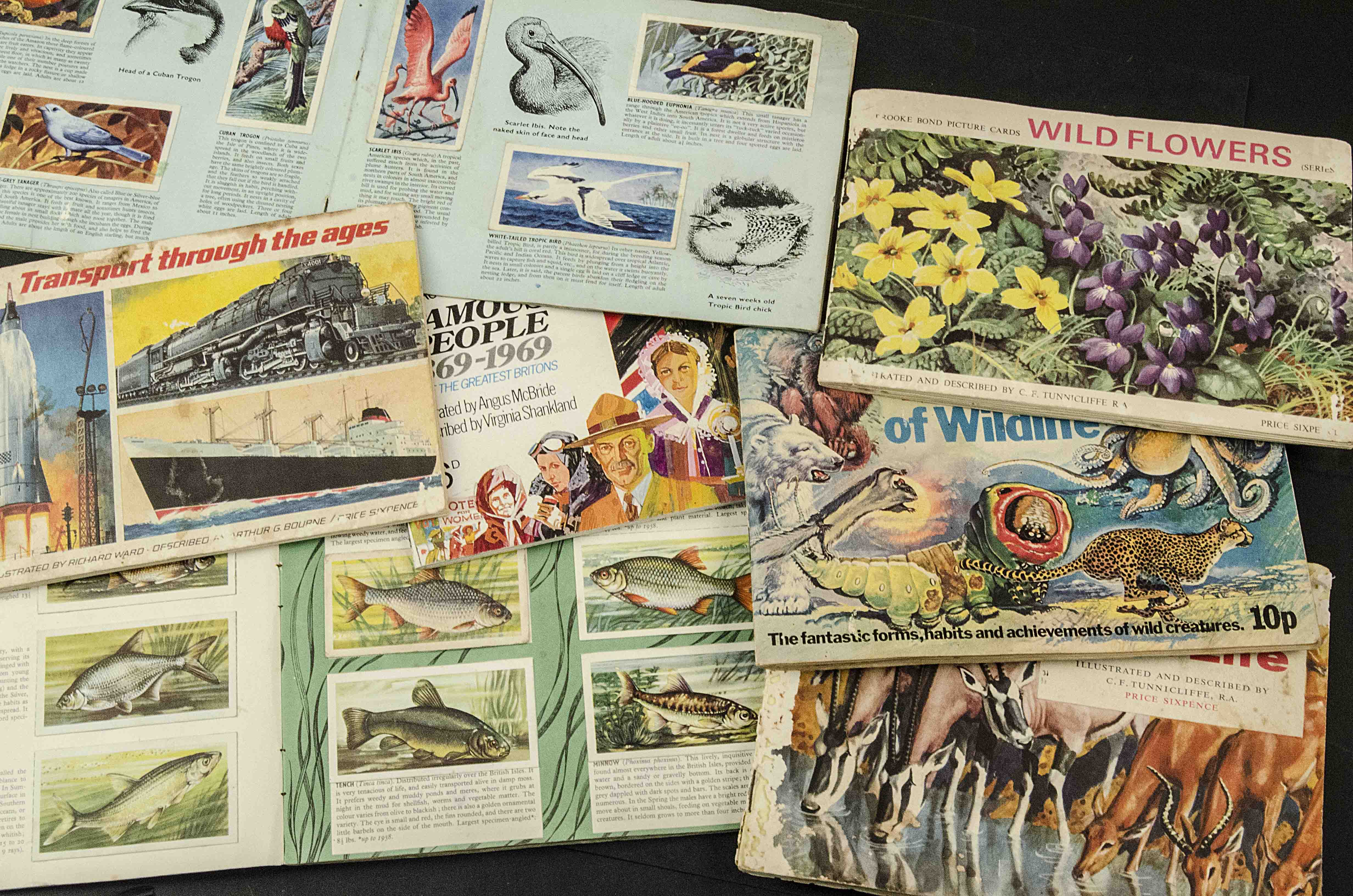 Trade Cards, Mixed, a selection of complete and partially filled Brooke Bond albums (12,) together