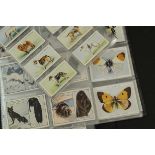 Cigarette Cards, Animals, Wills sets, a collection to include New Zealand Butterflies, Moths &