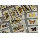 Cigarette Cards, Animals, Players sets, to include Butterflies, Sea Fishes, Natural History, Wild