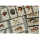 Cigarette Cards, Dogs, Players sets, to name Dogs (full length, Wardle), Dogs (scenic background),