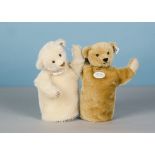 A Steiff Limited Edition Punchy bear set 1912, a white and a golden teddy bear hand puppet, 276 of