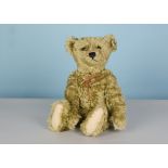 A Steiff Limited Edition Teddy Bear with hot-water bottle 1907, 2650 of 3000, in original box with