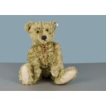 A Steiff Limited Edition Teddy Bear with hot-water bottle 1907, 2307 of 3000, in original box with