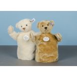 A rare Steiff Limited Edition Punchy bear set 1912, 610 of 5000, a white and a golden mohair hand