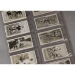 Cigarette Cards, Greyhound Racing, Ogden's Greyhound Racing 1st Series (gd)