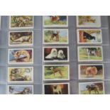 Cigarette Cards, Animals, Gallaher sets to include Dogs (block capital), Dogs A & 2nd Series,