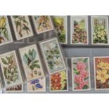 Cigarette Cards, Flowers, by various Manufacturers, sets to include Players Useful Plants and