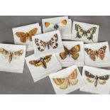 Cigarette Cards, Animals and Birds, a collection of sets by various Manufacturers to include Players