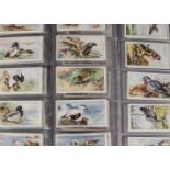 Cigarette Cards, Birds, three sets, Carreras Birds of the Countryside, Players Game Birds & Wild