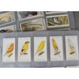 Cigarette Cards, Birds, Players sets, to name, Game Birds & Wild Fowl, Curious Beaks, Wild Birds,