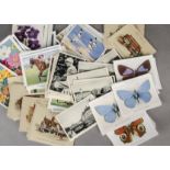 Cigarette Cards, Mixture, a large collection of loose cards, M and L size, mainly Wills and Players,