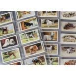 Cigarette Cards, Dogs, three sets by Players, to include Dogs A Series, Dogs by Arthur Wardle, and