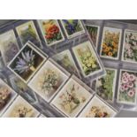 Cigarette Cards, Flowers, a selection of sets by various Manufacturers to name Abdulla Old