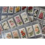 Cigarette Cards, Flowers, a selection of sets by Wills, to name Roses, Roses A Series, Roses 2nd