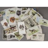 Cigarette Cards, Animals and Nature, a collection of loose cards, various Manufacturers, topics
