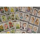 Cigarette Cards, Gallaher, a variety of sets to include, The Navy, My Favourite Part, Famous
