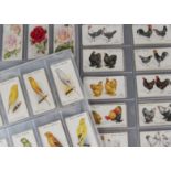 Cigarette Cards, Flowers and Birds, three sets, to name Wills Roses, Garden Flowers and Wild Flowers