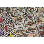 Cigarette Cards, Wills, a variety of sets to include Fish & Bait, Flowering Trees & Shrubs,