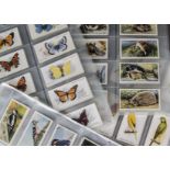 Cigarette Cards, Animals, a collection of sets to include Black Cat British Birds, Players Aviary
