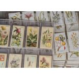 Cigarette Cards, Flowers, Gallaaher's Plants of Commercial Value and CWS Wayside Flowers (green