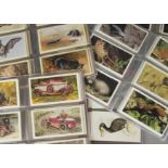 Cigarette Cards, Mixture, Players Grandee Issues, ten sets to include British Birds, Famous M G