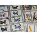 Cigarette Cards, Birds & Butterflies, a selection of sets to include Ogdens Birds Eggs and British