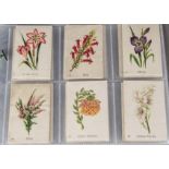 Cigarette Silks, Flowers, United Tobacco South African Flowers, second series, complete set (51-100)