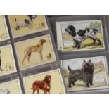 Cigarette Cards, Dogs, a selection of sets to include Gallahers Dogs (L size Block Caption),