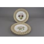 A pair of Victorian Minton cabinet plates, hand painted with botanical studies within a pierced gilt