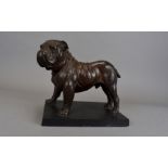 A resin model of a bulldog, on a rectangular stone plinth, collar marked Mac, 22 cm high x 25 cm