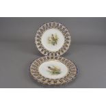 Two Victorian Coalport cabinet plates, with bird painted reserves and a blue reticulated edge,