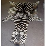 A Zebra skin rug (Equus quagga), 280 cm long