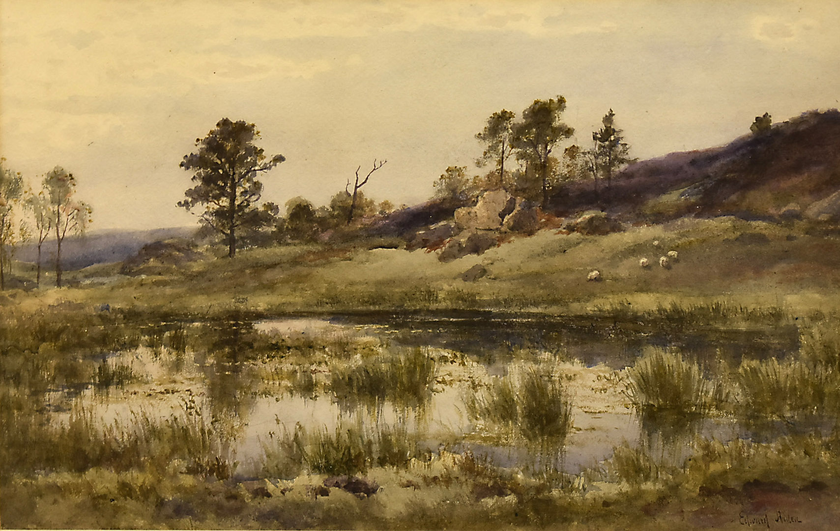 Edward Arden [Tucker] (fl. 1847-1910), watercolour marsh pond and boulder field with heather sheep