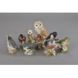 A collection of Beswick birds, Robin, Blue Tit, Chaffinch, Wren, Grey Wagtail, Bullfinch,