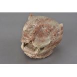 A pink marble fragment of a loin head, or that of a mythical beast, possibly Spanish 14.5 cm x 11.