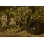Att. George F Glennie (19th century), watercolour dog roses and fallen birds nest, unsigned with