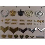 A group of title and rank badges, to include a collection of pips, Fire Officer, Rank Chevron,