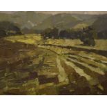 Millicent E. Ayrton M.B.E R.C.A. (1913-2000), oil on board agrarian landscape 'Fields, Dwyrd Valley'