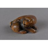 A Meiji period Japanese carved and signed wood netsuke, modelled as a pug dog in recumbent pose