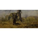 David Shepherd, signed limited edition print, The Land of the Baobab Trees' No 867/1100, signed