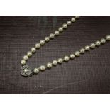 A single strand pearl necklace, uniform white cultured pearls with sterling silver clasp