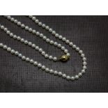 A modern pearl necklace, the string of white cultured pearls with ovoid 9ct gold ball clasp, 38cm