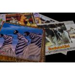 Lobby Cards, three sets for The Lion King, Beethoven's 2nd and We're Back A Dinosaur Story, all in