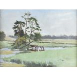 English School, 20th Century, oil on board, cows in a stream, 24 cm x 32 cm